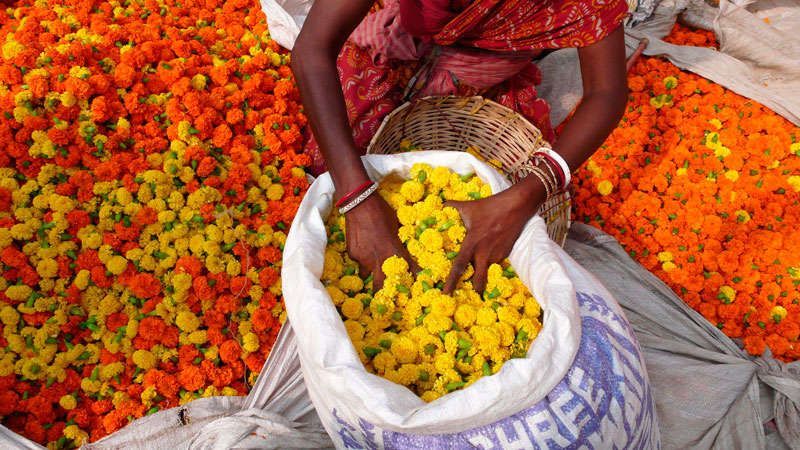 Bloemenmarkt in Kolkata<br>