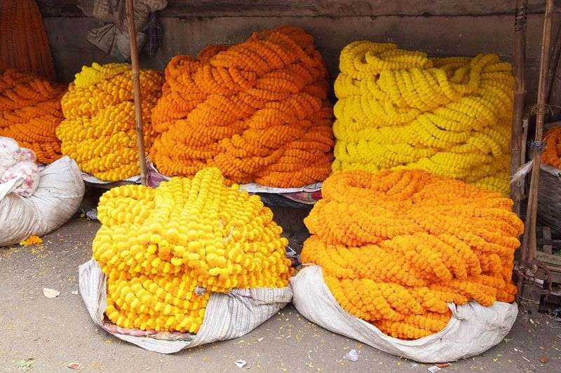 Bloemenmarkt in Kolkata<br>