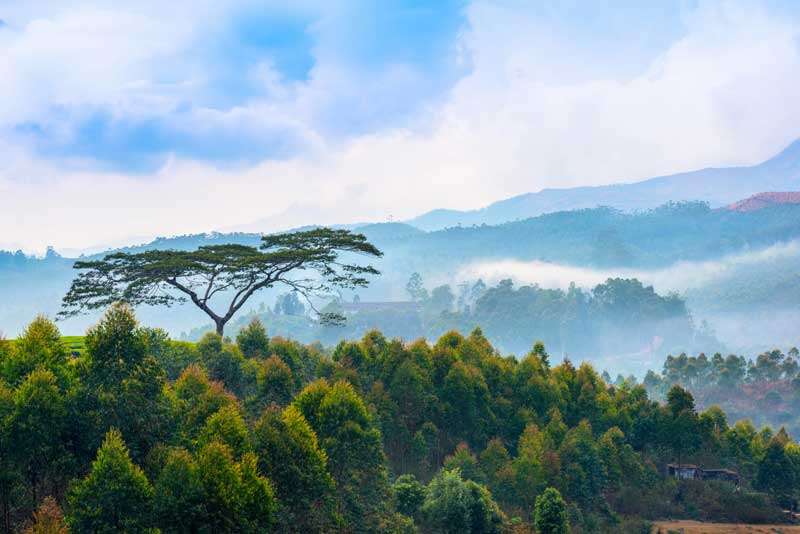 Zelf op verkenning in Munnar<br>