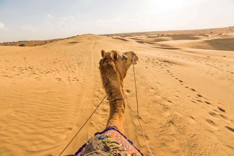 Kameelrijden in Jaisalmer