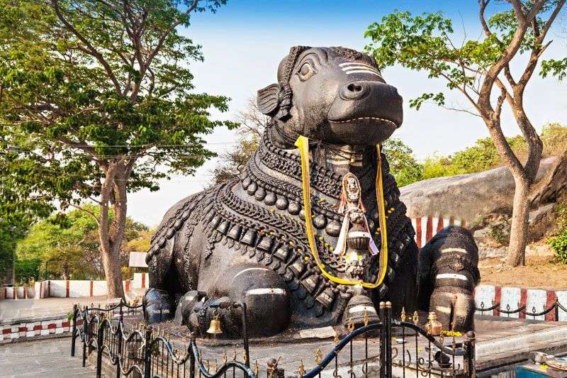 Gigantische nandi beeld in Mysore